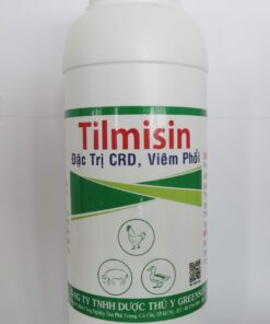 TILMISIN