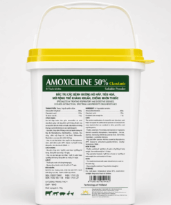 AMOXICILINE 50% (Clavulanic)