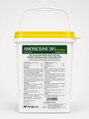 AMOXICILINE 50% (Clavulanic)