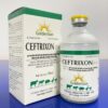CEFTRIXON 15% (100ML)