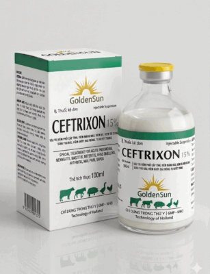 CEFTRIXON 15% (100ML) CEFTRIXON 15% (100ML)