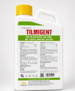 TILMIGENT