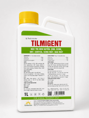 TILMIGENT TILMIGENT