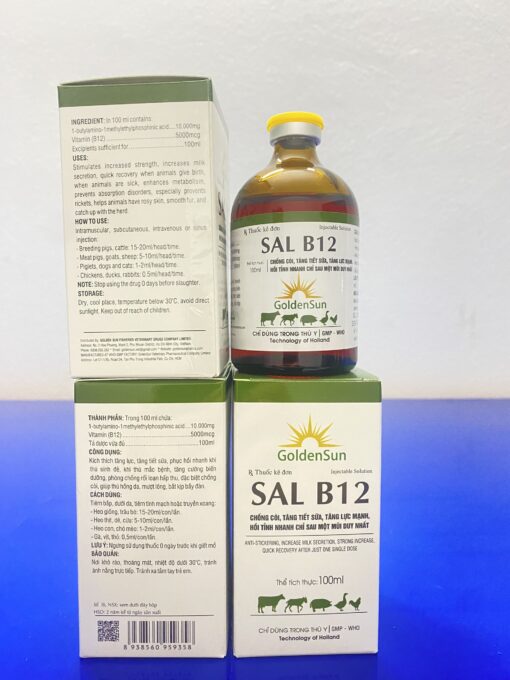 SAL B12 (100ML)