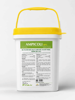 AMPICOLI 50% AMPICOLI 50%