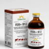 FER + B12 (100ml)