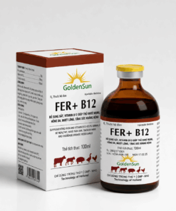 FER + B12 (100ml)