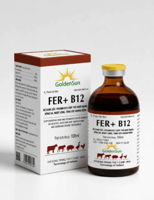 FER + B12 (100ml)