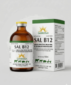 SAL B12 (100ML)