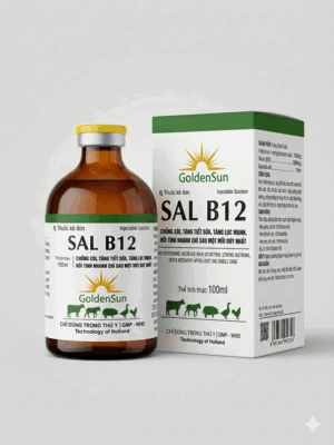 SAL B12 (100ML) SAL B12 (100ML)