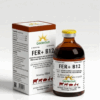 FER + B12 (100ml)