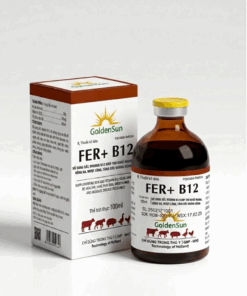 FER + B12 (100ml)