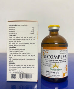 B - COMPLEX 100ML