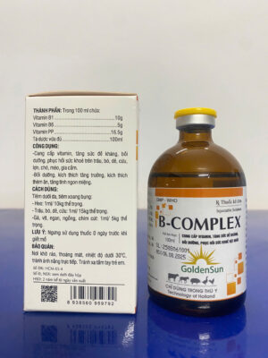 B - COMPLEX 100ML