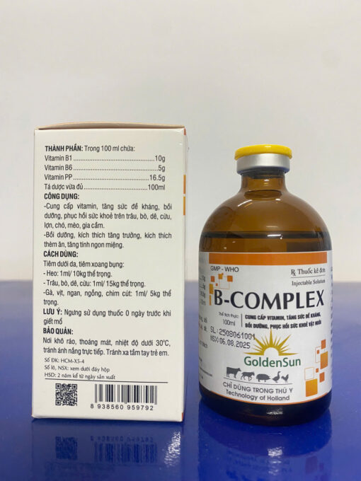 B - COMPLEX 100ML