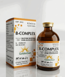 B - COMPLEX 100ML