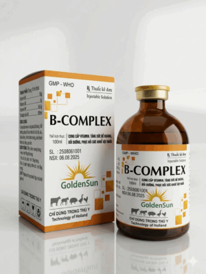 B - COMPLEX 100ML B - COMPLEX 100ML