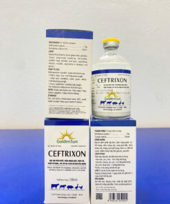 CEFTRIXON 10% 100ML