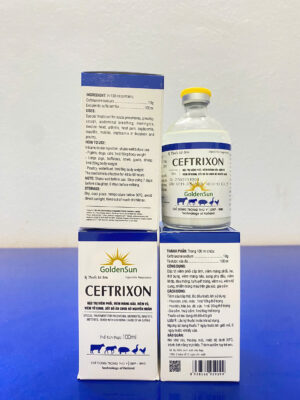 CEFTRIXON 10% 100ML