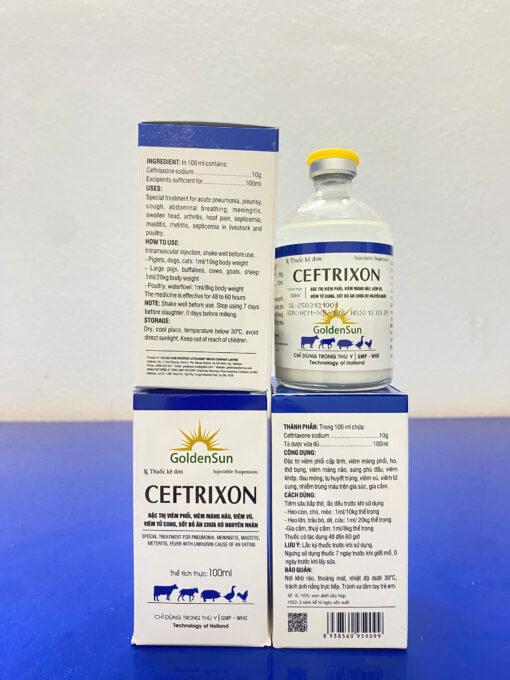 CEFTRIXON 10% 100ML