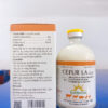 CEFTIKET LA 10% (100ML)