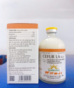 CEFTIKET LA 10% (100ML)