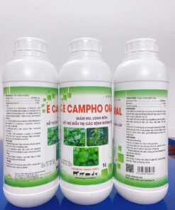 E CAMPHO ORAL