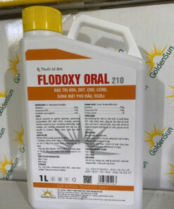 FLODOXY ORAL 210