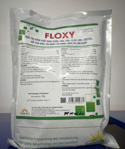 FLOXY 10-10