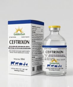 CEFTRIXON 10% 100ML