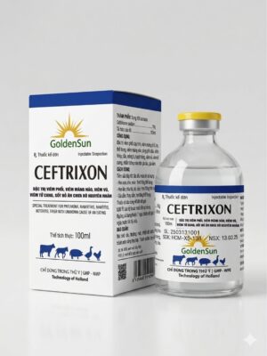 CEFTRIXON 10% 100ML