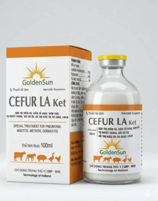 CEFTIKET LA 10% (100ML)