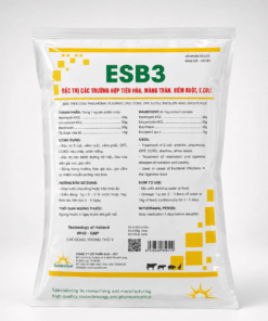 ESB3