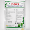 FLOXY 10-10