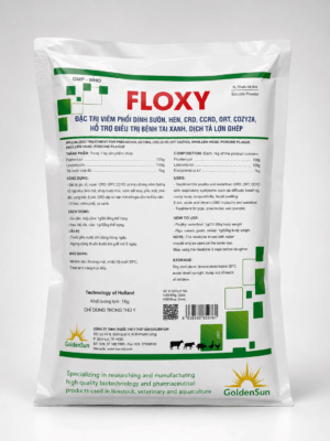 FLOXY 10-10