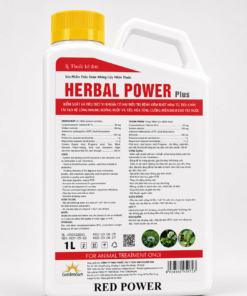 HERBAL POWER PLUS