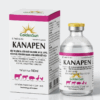KANAPEN 100ML