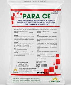 PARA CE 20%