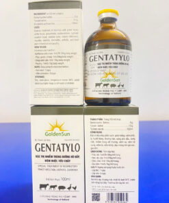 GENTATYLO 100ML