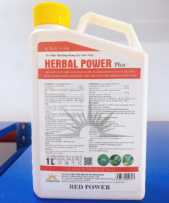 HERBAL POWER PLUS