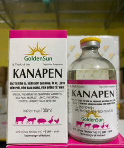 KANAPEN 100ML
