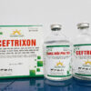 CEFTRIXON CẶP TIÊM 100ML