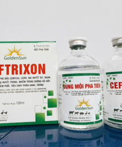 CEFTRIXON CẶP TIÊM 100ML