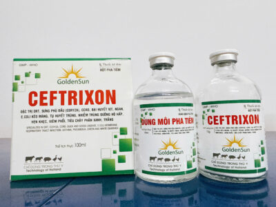 CEFTRIXON CẶP TIÊM 100ML