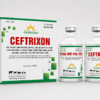 CEFTRIXON CẶP TIÊM 100ML