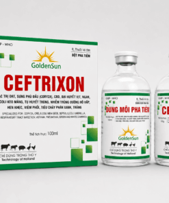CEFTRIXON CẶP TIÊM 100ML