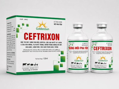 CEFTRIXON CẶP TIÊM 100ML CEFTRIXON CẶP TIÊM 100ML