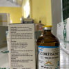 F.CORTISONE