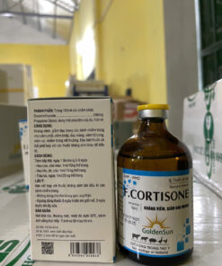 F.CORTISONE