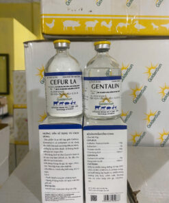 GD001 CẶP TIÊM 250ML